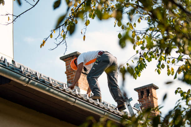 Best Roof Gutter Cleaning  in Williamsburg, VA