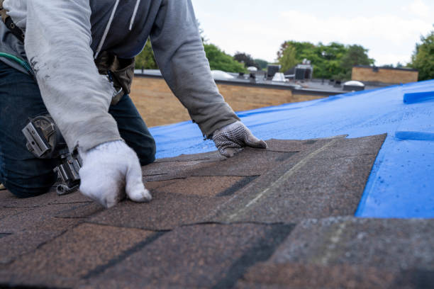Roof Gutter Cleaning in Williamsburg, VA